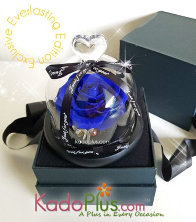 Eternity Blue Rose