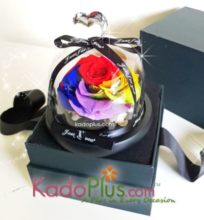 Eternity Rainbow Rose