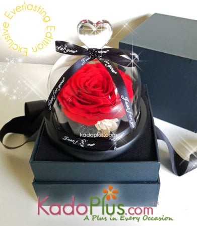 Eternity Red Rose