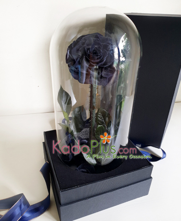 Everlasting Black Rose Premium