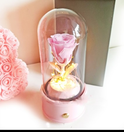 Everlasting Pink Rose Glass Dome with Bluetooth Speaker & LED Lights