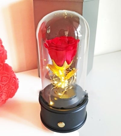 Everlasting Red Rose Glass Dome with Bluetooth Speaker & LED Lights