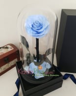 Everlasting Sky Blue Rose Premium