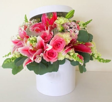 Splendeur Box: Blush