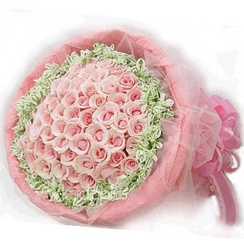 Pink Passion