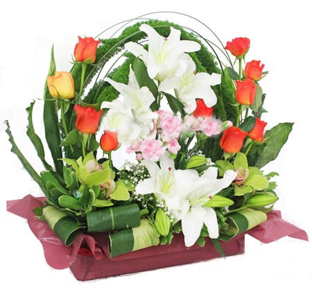 Blooming Garden