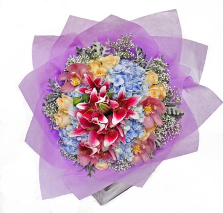 Botanical Twist
