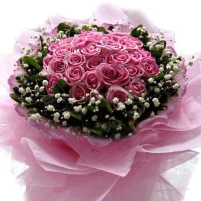 Pink Blooms