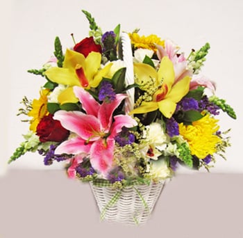 Assorted Beauty
