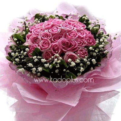 Pink Blooms