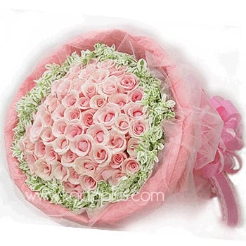 Pink Passion