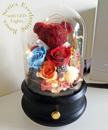 Bear and Eternity Preserved Roses with LED & Speaker