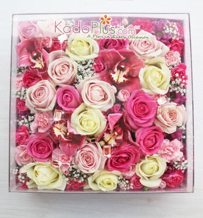 Splendeur Box: Belle