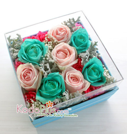 Splendeur Box: Cotton Candy