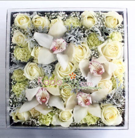 Splendeur Box: Eternity