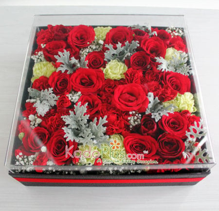 Splendeur Box: Femme