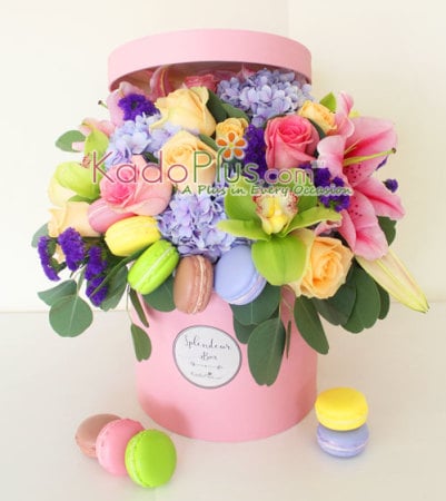 Splendeur Box: Macaroon