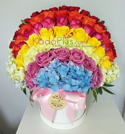 Splendeur Box: My Rainbow