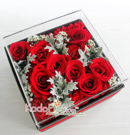 Splendeur Box: Red Charm