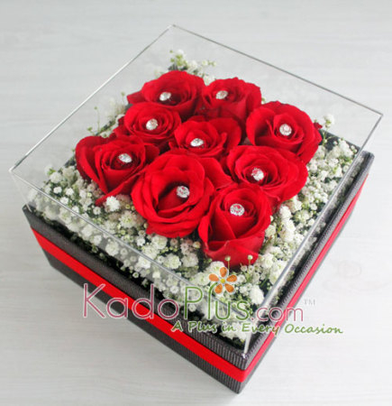 Splendeur Box: Red Clarity