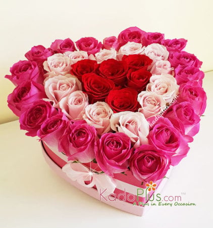 Sweet Passion