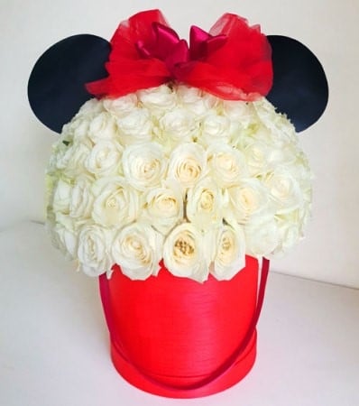 Splendeur Box: Classic Minnie