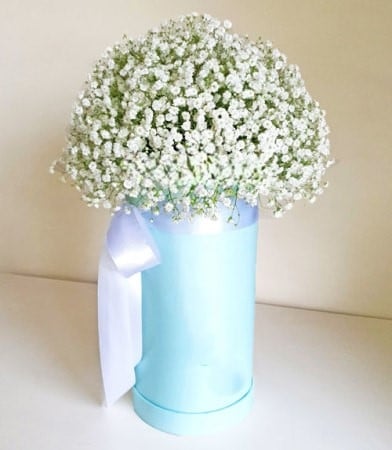 Splendeur Box: Cotton Clouds