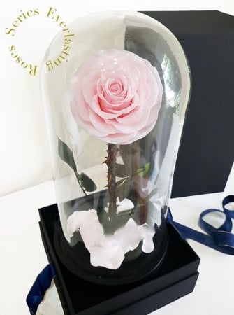 Everlasting Pink Rose Premium