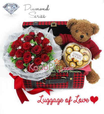 Luggage of Love