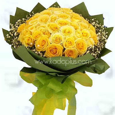 Yellow Delight
