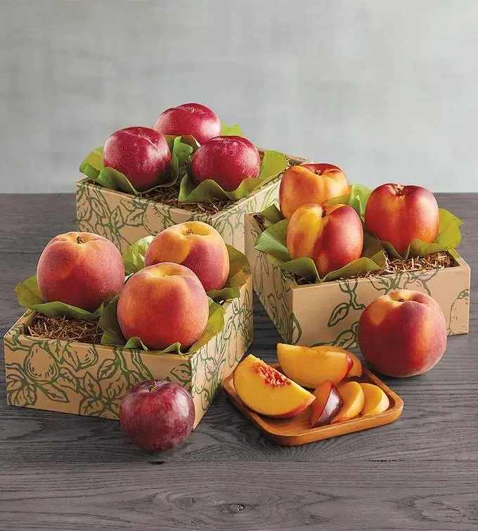 Triple Treat Classic Summer Fruit