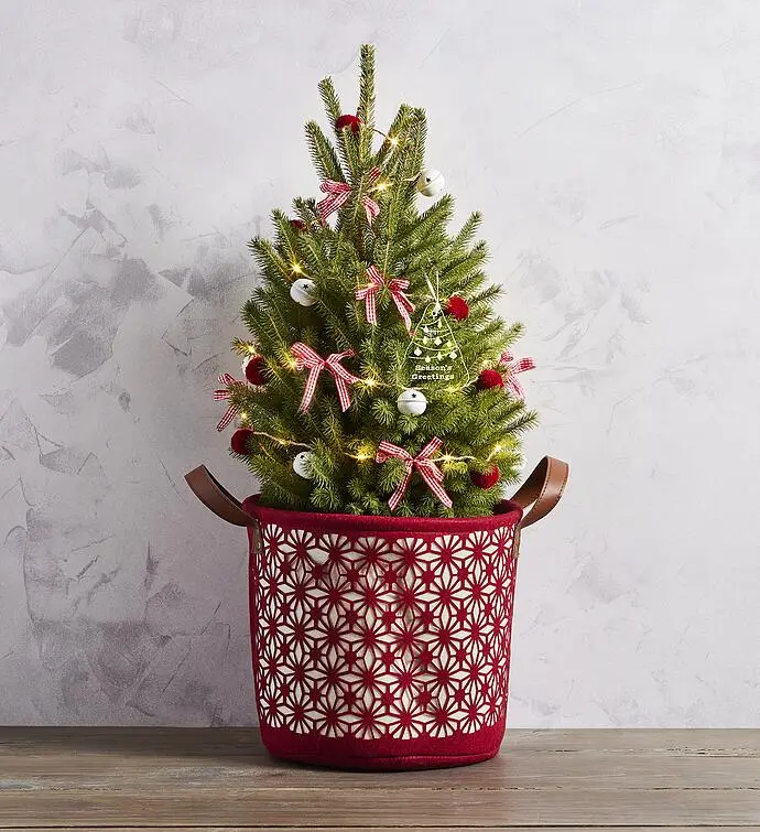 Decorated Spruce Christmas Tree with Christmas Ornament