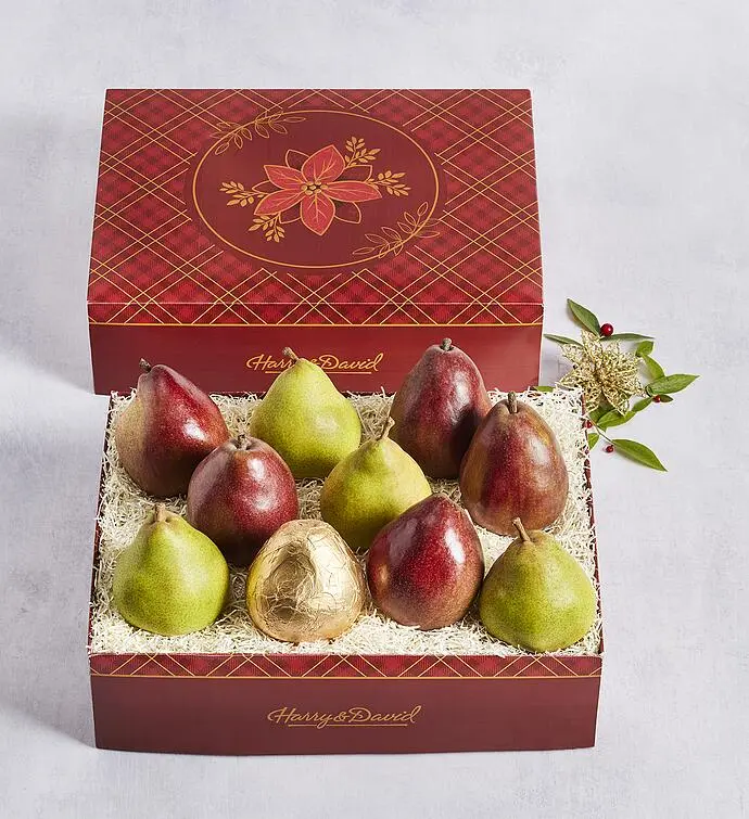 Colors of Christmas Pears