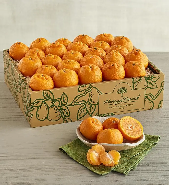 Kishu Mandarins