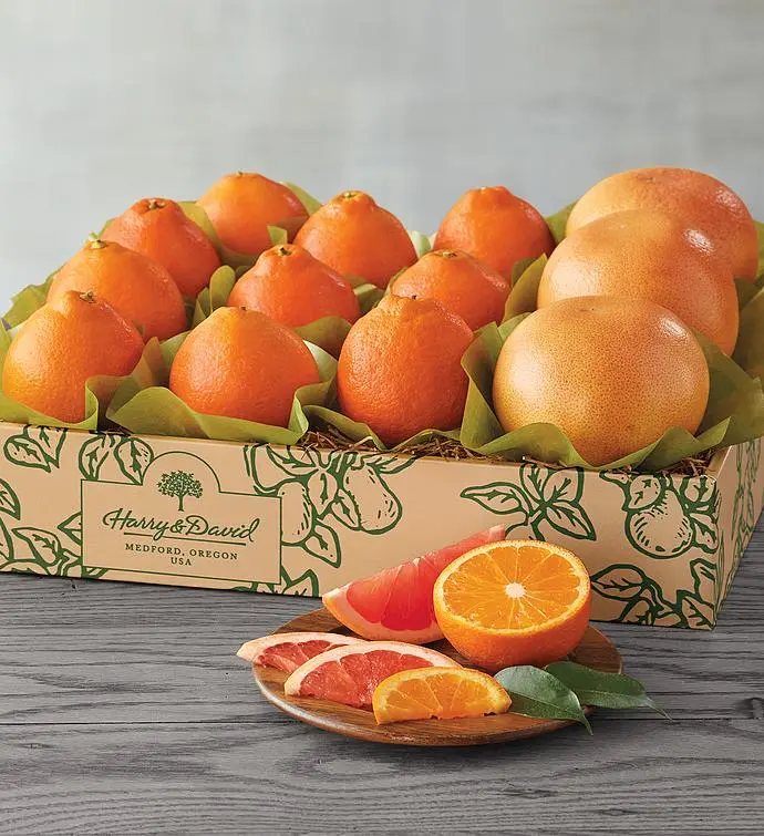 HoneyBells and Red Grapefruit - One Tray
