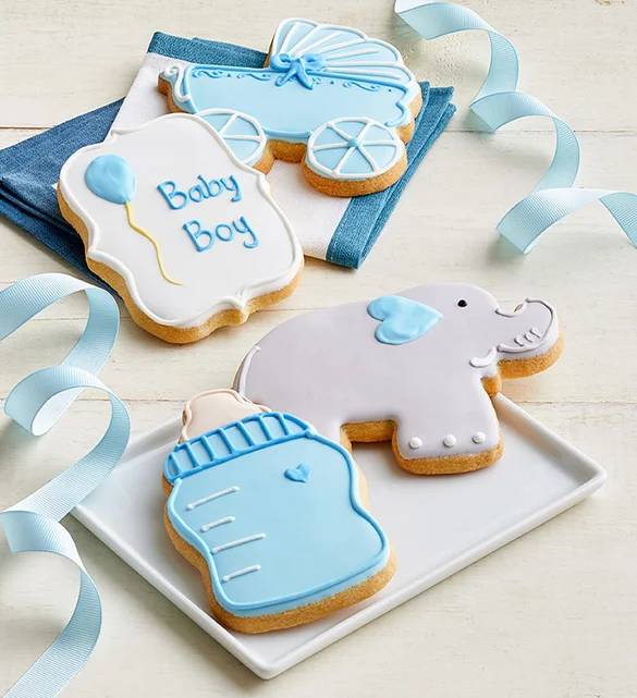 Welcome Baby Boy! Artisan Iced Cookies (Welcome Baby Boy Artisan Iced Cookies - set of 4)
