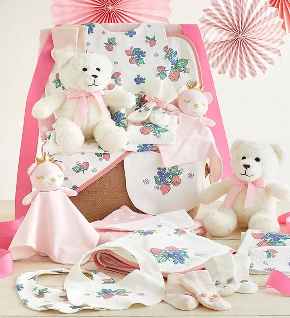 Newborn Girl Comfy Baby Gift Basket