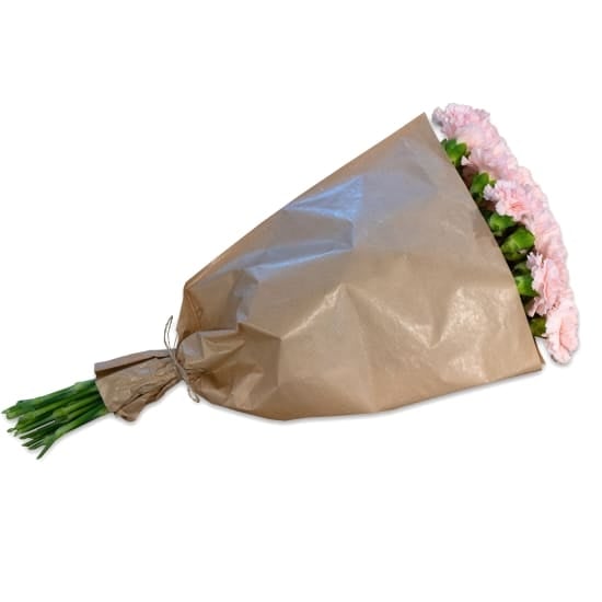 Bundle Of Pink Carnations