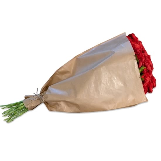 Bundle Of Red Carnations