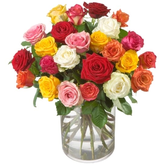 Colorful Bouquet of Roses (24 roses)