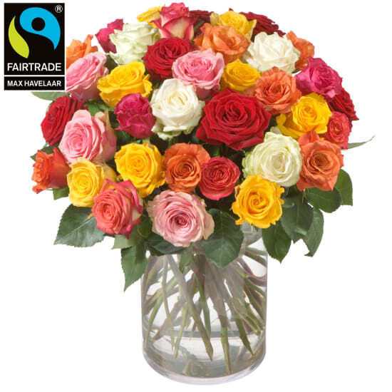 Bouquet Of Roses (36 Roses) With Fairtrade Max Havelaar-Roses, Big Blooms