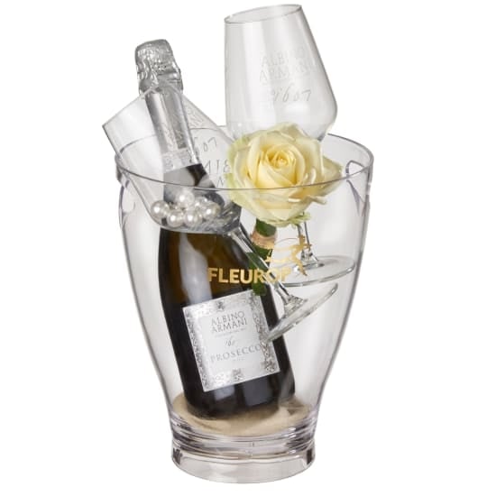 Charming Beauty with Prosecco Albino Armani DOC (75 cl) incl. ice bucket and two "Connaisseur" glasses
