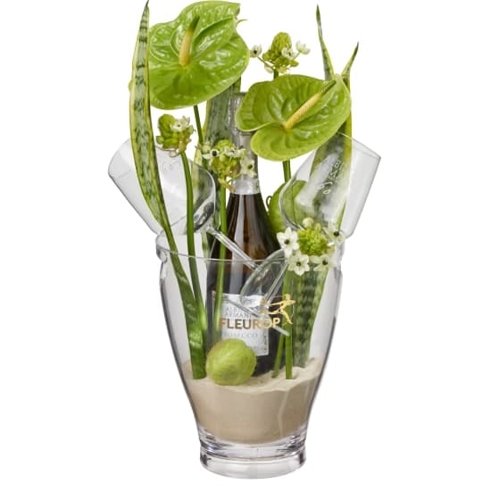 Exotic Paradise with Prosecco Albino Armani DOC (75 cl) incl. ice bucket and two "Connaisseur" glasses