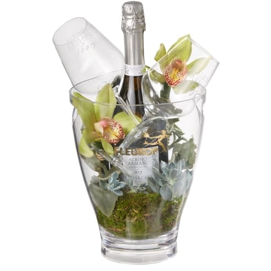 In Harmony With Nature: Prosecco Albino Armani Doc (75 Cl) Incl. Ice Bucket And Two "Connaisseur" Glasses