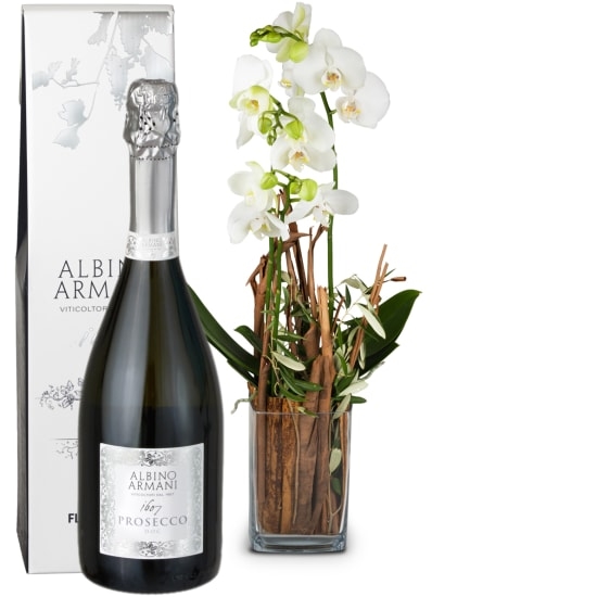 Magic (orchid with vase) and Prosecco Albino Armani DOC (75 cl)