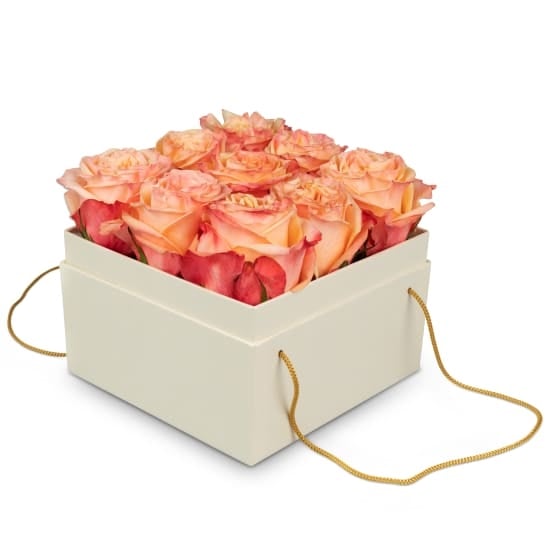 Flowerbox «Vienna» (15 Cm)