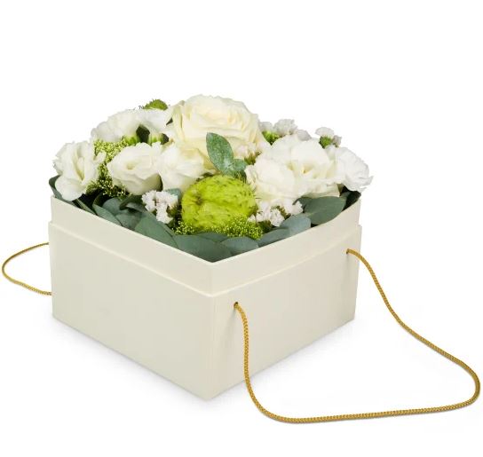 Flowerbox Dublin (15 cm)