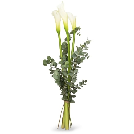 White Elegance (Minimum)