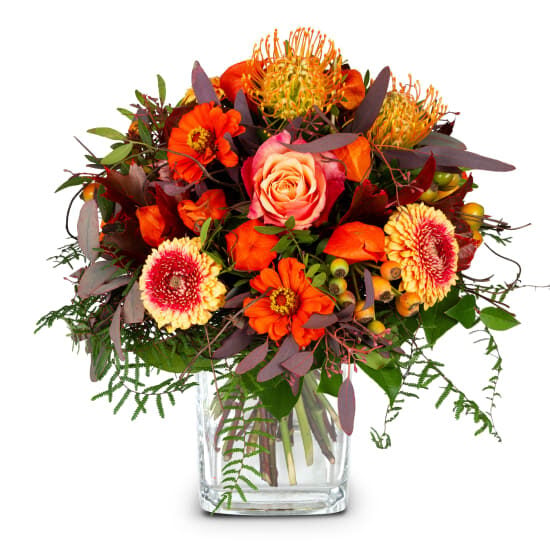 Spirit of Indian Summer (Minimum)