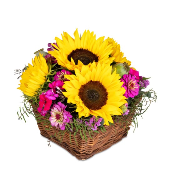 Sunny Day (Minimum)